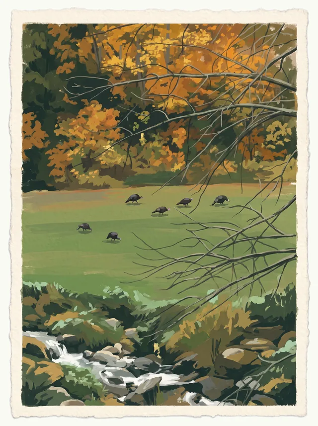 A painting of wild turkeys on a fall lawn above the rocky creek