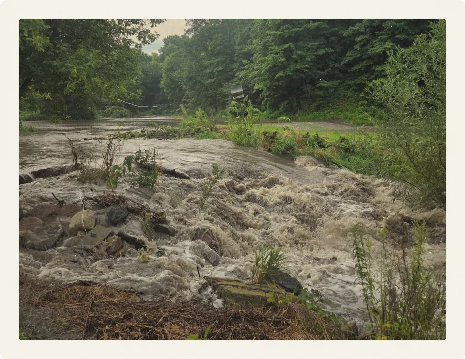 Kelley Creek running over rocks
